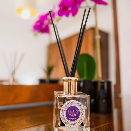 Gem With Terrace Close To The Sea